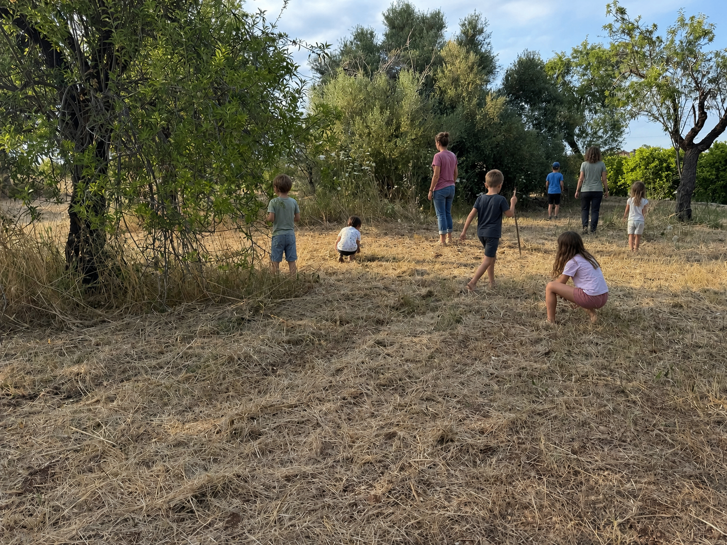 Children exploring the land at sunset