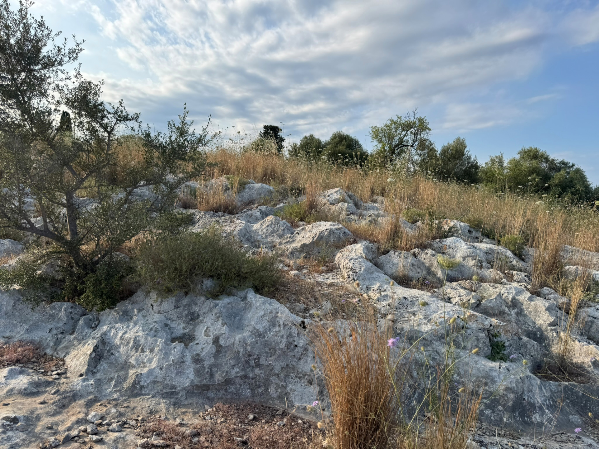 Ancient limestone rocks
